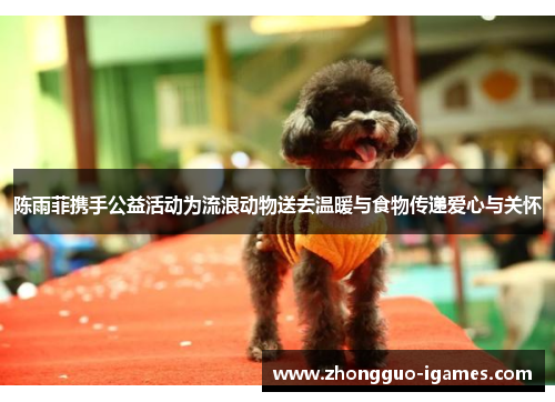 陈雨菲携手公益活动为流浪动物送去温暖与食物传递爱心与关怀