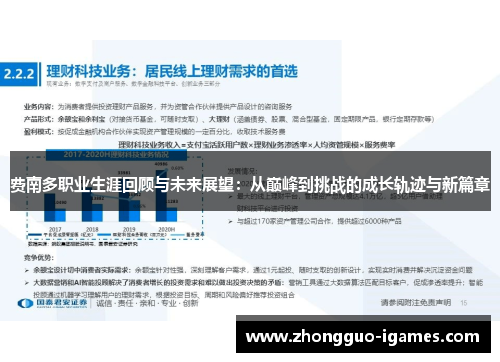 费南多职业生涯回顾与未来展望：从巅峰到挑战的成长轨迹与新篇章